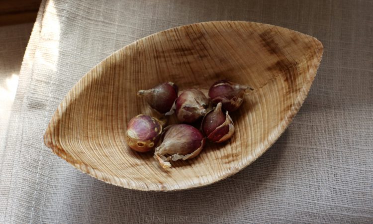 Cialde di meringa al formaggio con crema di ricotta e perle di cipolla egiziana caramellate