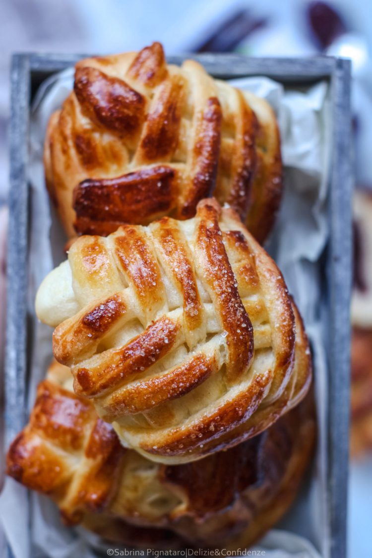 Conchiglie di brioche