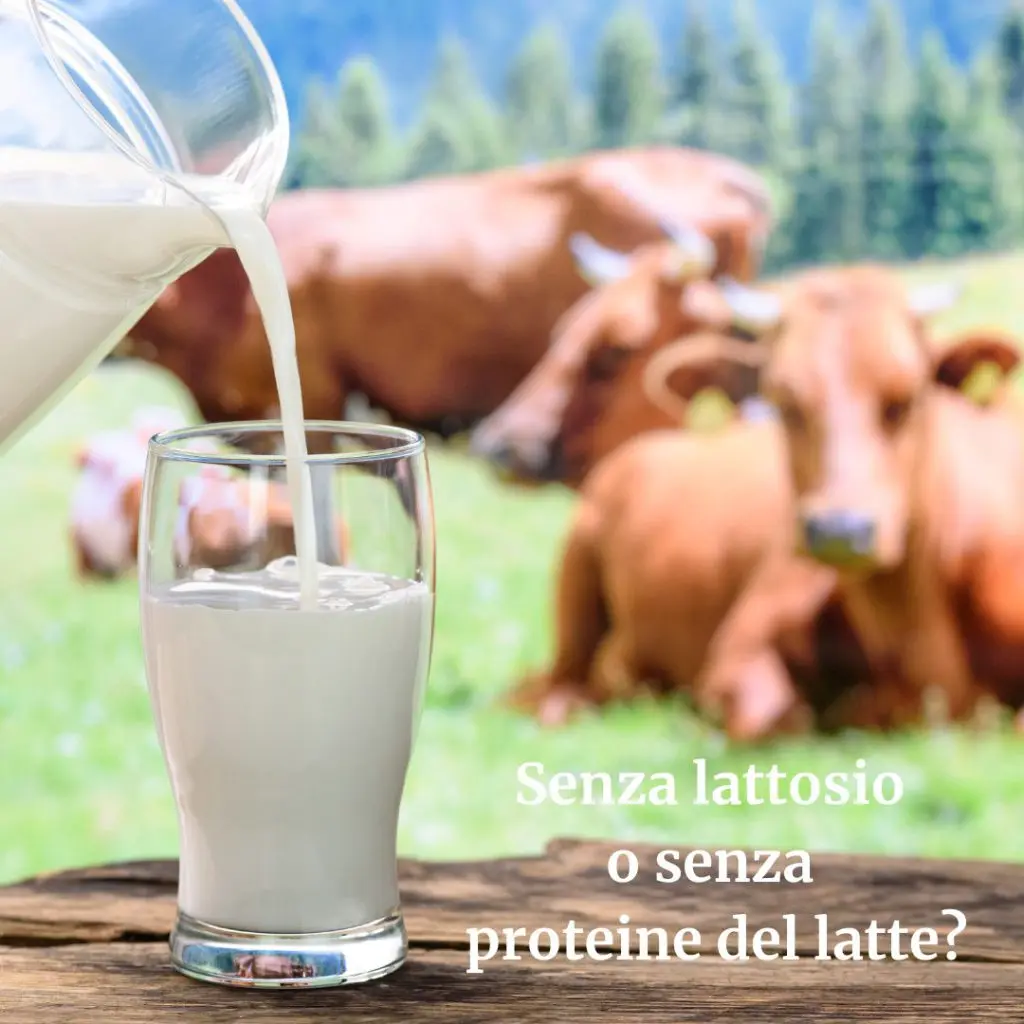 Allergia alle proteine del latte