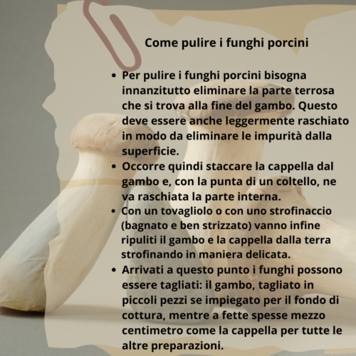Come pulire i funghi porcini