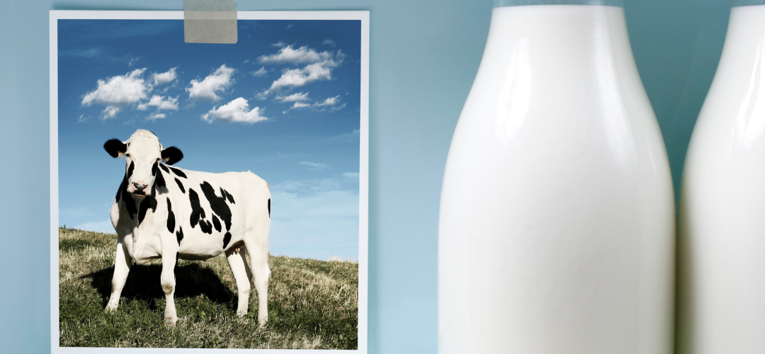 Allergia alle proteine del latte