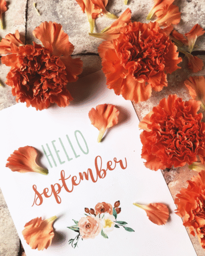 Settembre nuova partenza