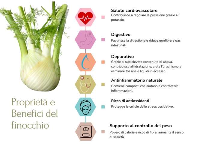 Proprietà e Benefici del finocchio