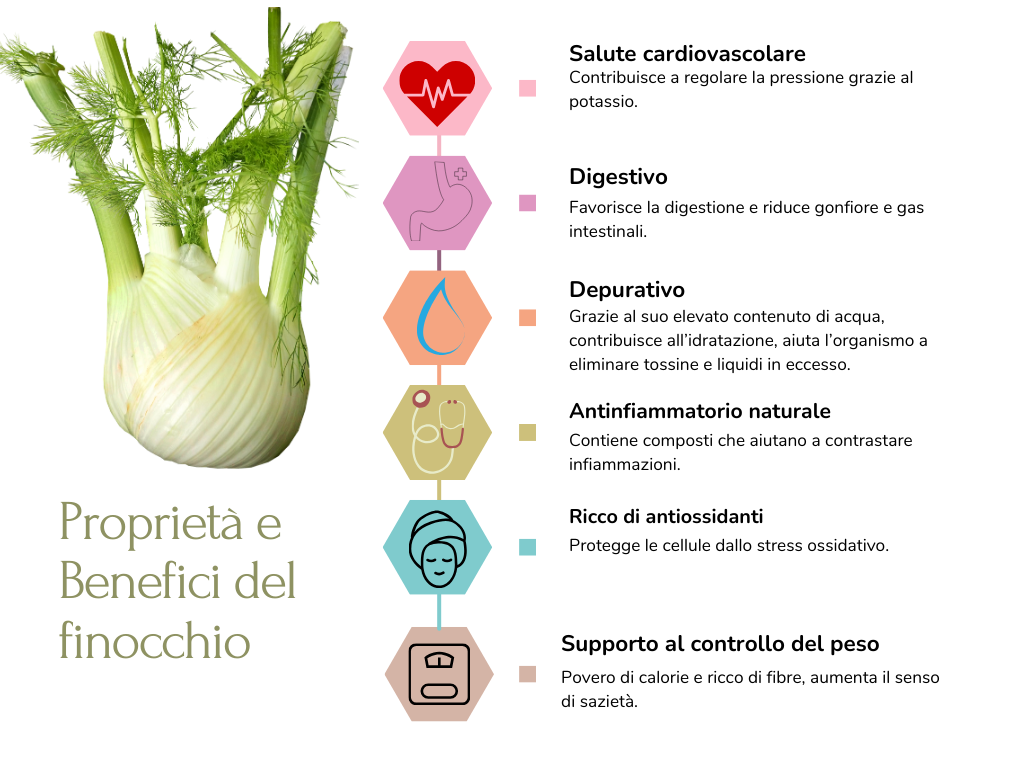 Proprietà e Benefici del finocchio