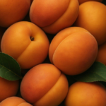 albicocche
