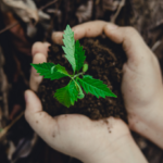 ecosostenibilità (1)