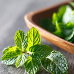 menta
