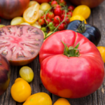 pomodori