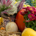 frutta settembre